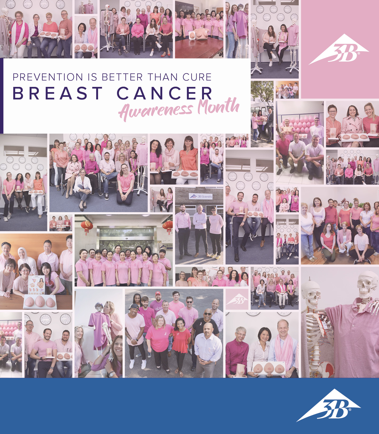 Breast_Cancer_Awareness_Press_Section_Banner_768x880_LOGO2.jpg