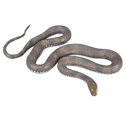 Dice Snake (Natrix tesselata) - Amphibians & Reptiles -