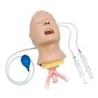 Advanced Airway Larry Trainer Head, 1020961, BLS Adult
