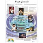 Drug Dependence Chart, 1001618 [VR1781L], Drug and Alcohol Education