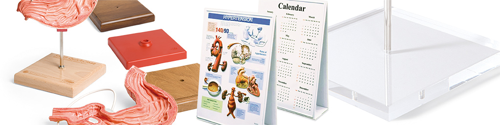 Medical Chart Supplies Products