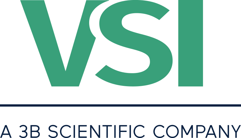 VSI logo