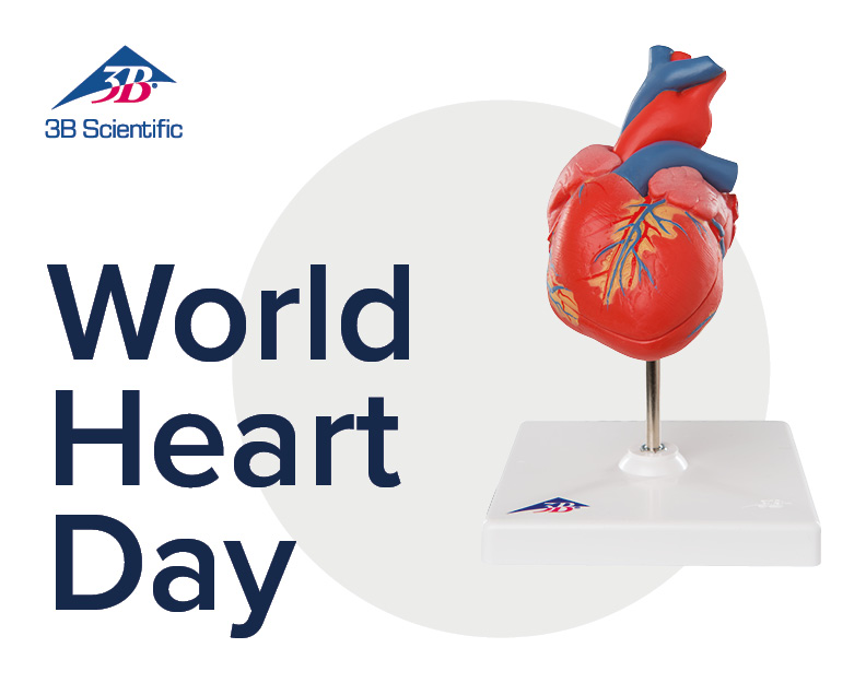 World Heart Day 2023: A heartfelt commitment to cardiovascular health