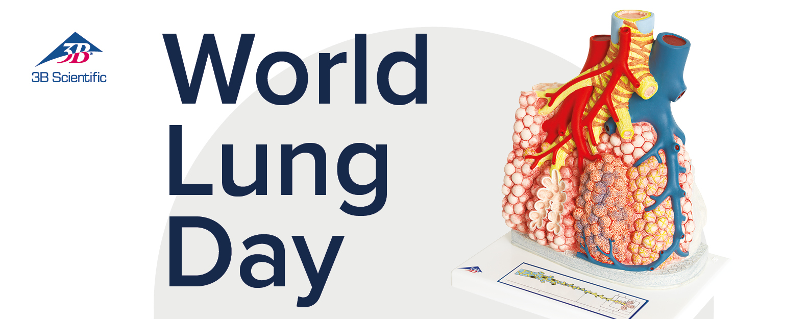 Breathe easy: Celebrating World Lung Day 2023
