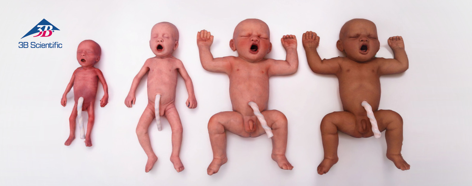 NOVO: Linha neonatal da Lifecast Body Simulation