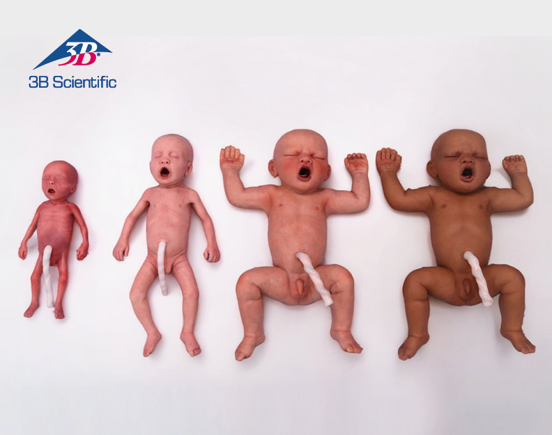 NUEVO: Gama neonatal de Lifecast Body Simulation