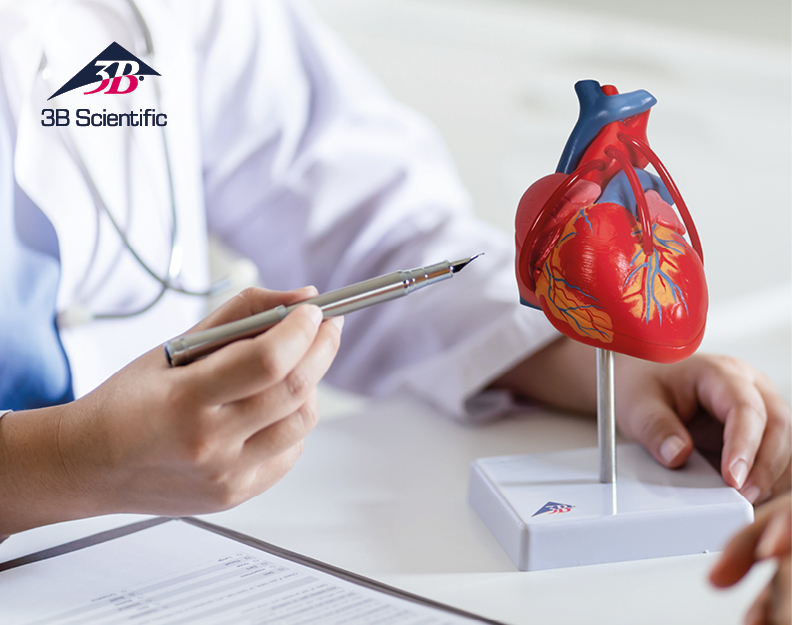 Don't Miss a Beat: World Heart Day 2026