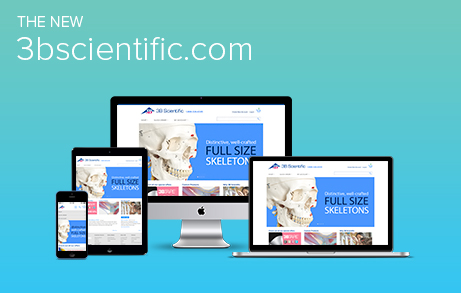 3bscientific.com Website Relaunch 2014