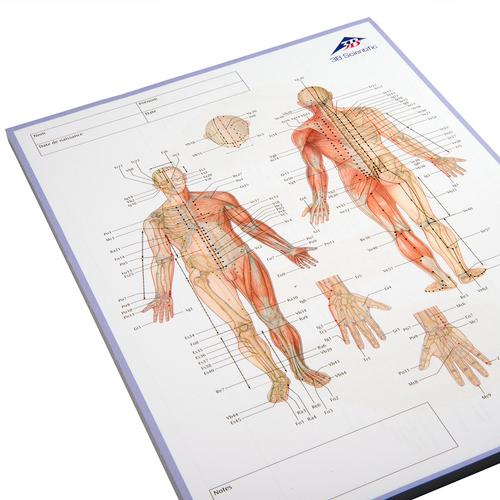 Acupuncture Meridian notepad; FR, 1017881, Модели