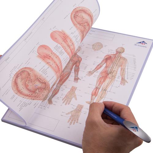 Acpuncture Meridian Notepad, ES, 1017885, Акупунктура аксессуары
