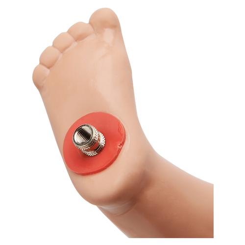 Fr&uuml;hchen f&uuml;r Geburtssimulator, 1017991, Geburtshilfe