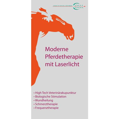 Flyer Laserakupunktur Vet Pferd LA, DE, 1018601, Akupunktur Modelle und Lehrtafeln