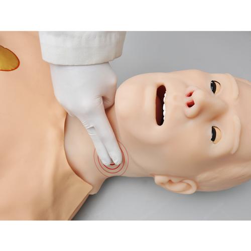 CPR+AED训练模型, 1018867, 心肺复苏模型配件