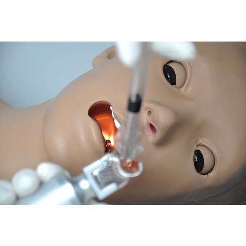 HAL® Torso para intubação e RCP, 1019856, SAV Adulto