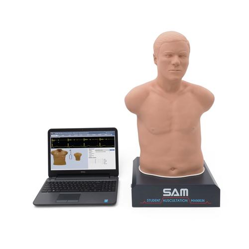 SAM II&reg; - Studentische Auskultationspuppe, 1020095, Auskultation