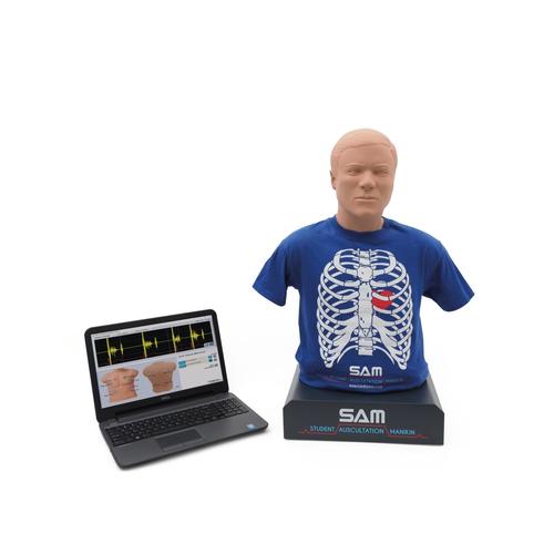 SAM II&reg; - Studentische Auskultationspuppe, 1020095, Auskultation