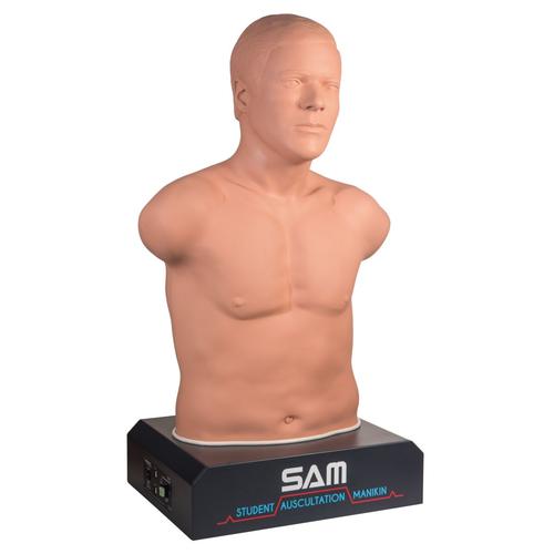 SAM II® — Manequim de Auscultação para Alunos, pele clara, 1020095, Auscultação