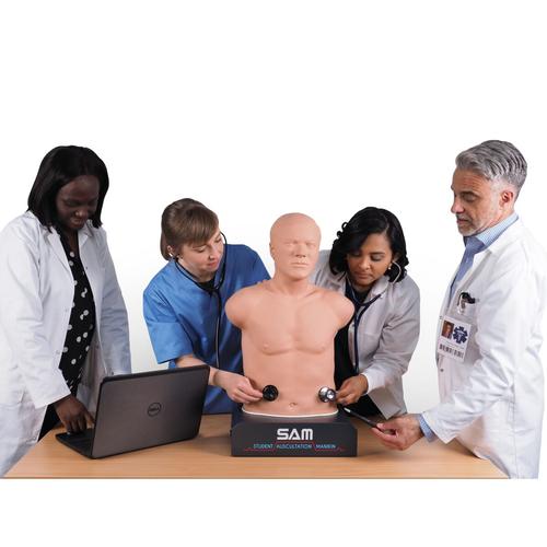 SAM II&reg; - Studentische Auskultationspuppe, 1020095, Auskultation