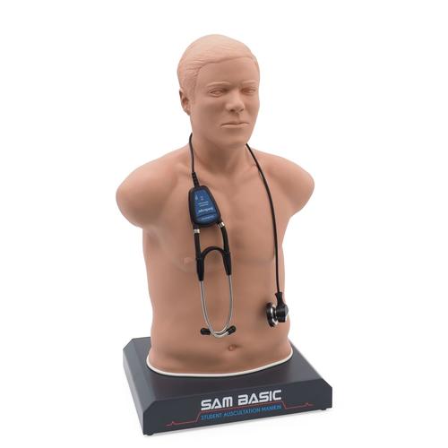 SAM Basic&reg; - Affordable Adult Auscultation Manikin, Light Skin&nbsp;, 1020097, Auscultation