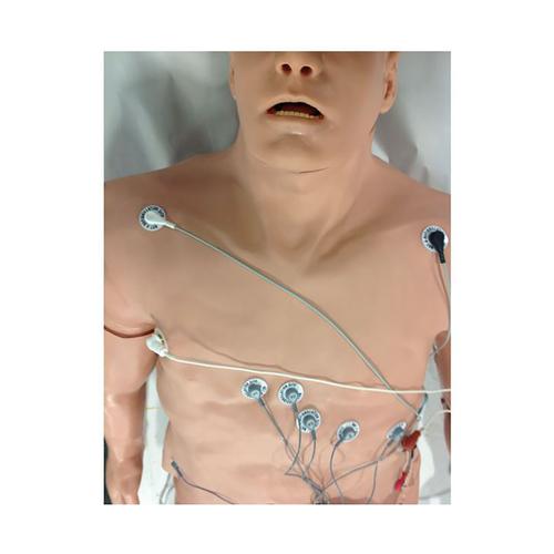 Simulador de arritmia de 12 derivaciones con cubierta de maniqu&iacute; &ndash; Zoll, grande, 1020845, BLS adulto