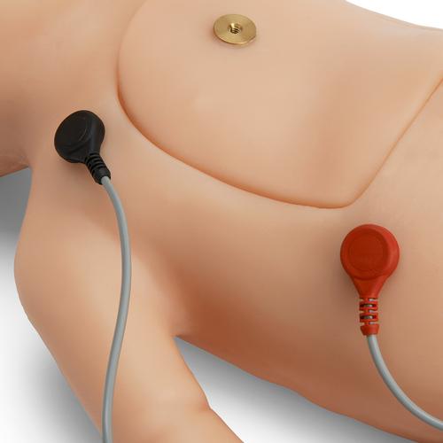 대화식 ECG 시뮬레이터가 없는 신생아 소생술 시뮬레이터 (백인)  C.H.A.R.L.I.E. Neonatal Resuscitation Simulator Without Interactive ECG Simulator, 1021584, 신생아 기본소생술