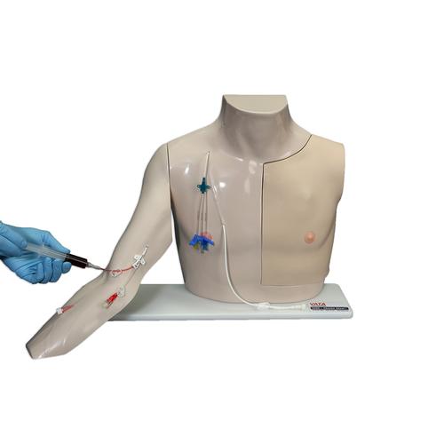 Chester Chest with Standard Arm, Light Skin, 1021821, Advanced Trauma Life Support (ATLS)