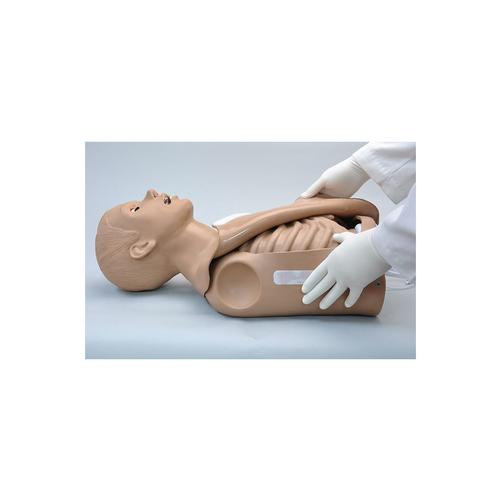 CPR Simon® Torso - OMNI®를 사용한 CPR 기술 트레이너  CPR Simon® Torso - CPR Skills Trainer with OMNI®, 1022057, 성인 기본 소생술