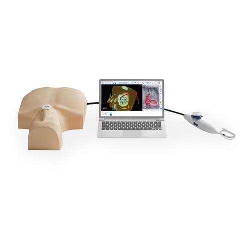 MrTEEmothy&reg; Standard Simulator f&uuml;r trans&ouml;sophageale Echokardiographie, 1022128, Echokardiographie