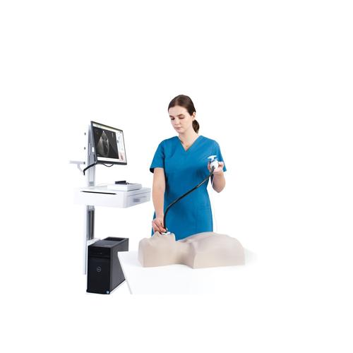 Simulador de Ecocardiografia Transesofágica MrTEEmothy® Expert, 1022130, Ecocardiografia Transesofágica (ETE)