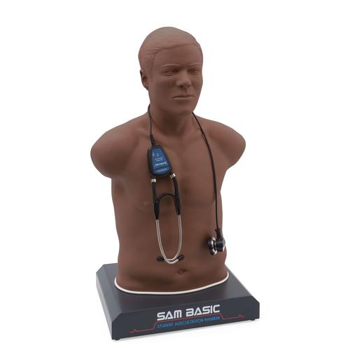 SAM Basic® - Simulador de Auscultação Adulto com preços acessíveis, pele escura, 1022474, Auscultação