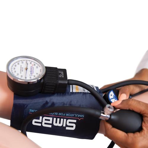 SimBP™ Simulator for Blood Pressure Training, 1022869, Blood Pressure