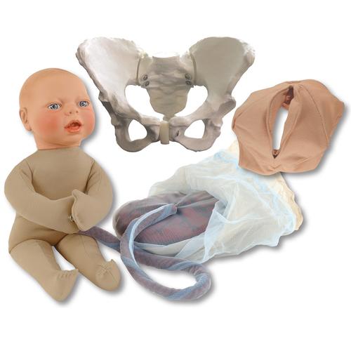 Conjunto de modelos de educação para o parto - Pélvis padrão com modelo fetal bege, 1023096, Adicionais