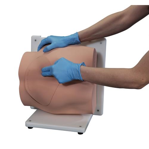 Bonnie Treinador de Habilidades de Bi&oacute;psia em Medula &Oacute;ssea&trade;, 1023340, Epidural e Espinhal