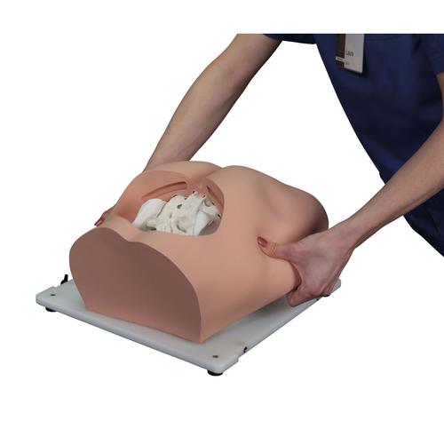 Bonnie Treinador de Habilidades de Bi&oacute;psia em Medula &Oacute;ssea&trade;, 1023340, Epidural e Espinhal