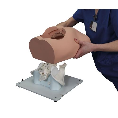 Bonnie Treinador de Habilidades de Bi&oacute;psia em Medula &Oacute;ssea&trade;, 1023340, Epidural e Espinhal