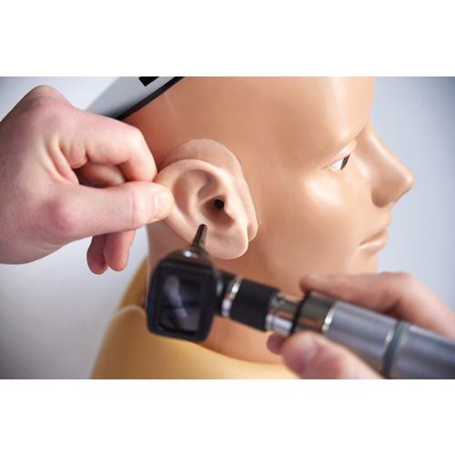 数字式耳检查训练模型, 1024351, 耳鼻喉检查