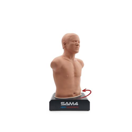 SAM4听诊模拟人-浅色皮肤, 1024553, 听诊
