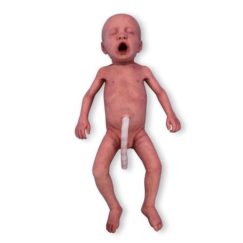 Frühgeborenes Baby helle Haut / männlich
, 1024669, Newborn