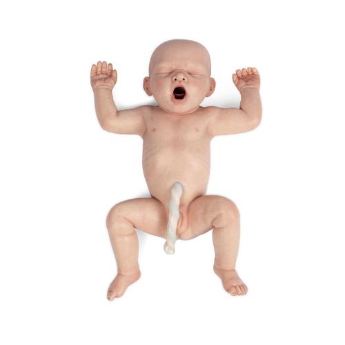 Lifecast Term Baby (light skin / male), 1024673, Newborn