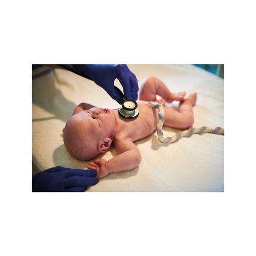 Lifecast Term Baby (light skin / male), 1024673, Newborn