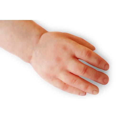 Lifecast Infant 3&ndash;6 months old (light skin / male), 1024726, Infant and Child&nbsp;