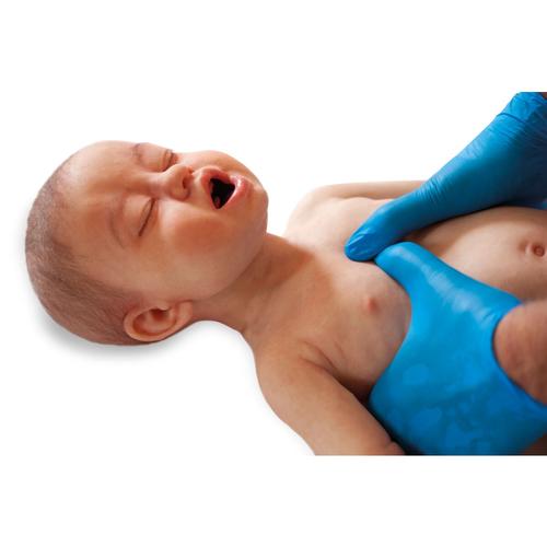 Lifecast Infant 3&ndash;6 months old (light skin / female), 1024727, Infant and Child&nbsp;