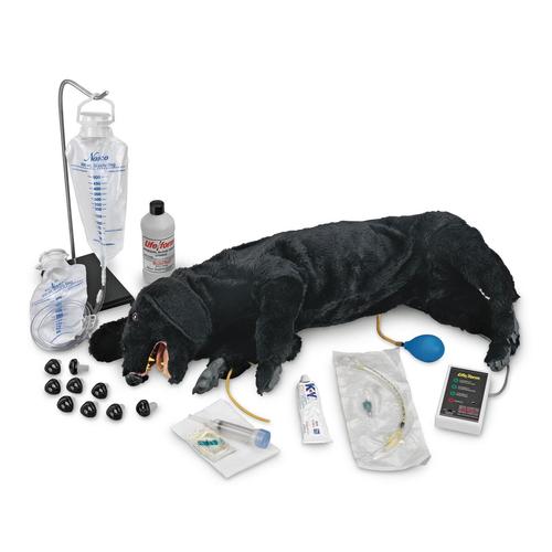 Advanced Sanitary CPR Dog, 1025095, Simulatori Canini