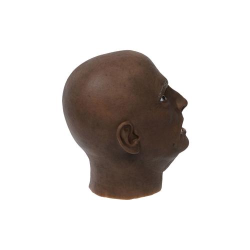 EchoMask&reg; Middle-Aged Male Stroke Patient Dark Skin (40-55 Years Old), 1025317, Echo Mask