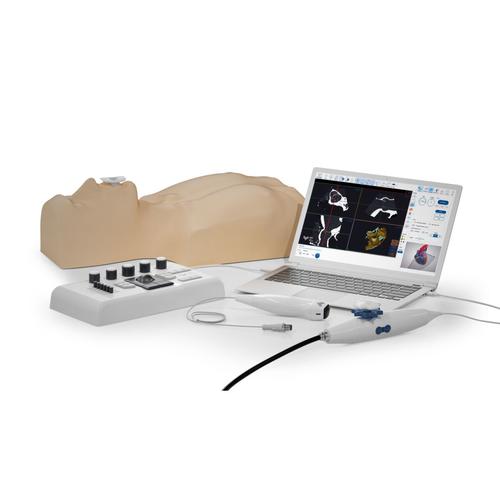 MrTEEmothy Synergy, 1025408, Echocardiography
