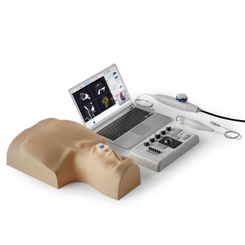 MrTEEmothy Synergy, 1025408, Echocardiography