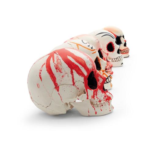 Dekorativer Halloween-Sch&auml;del
, 1025480, Sch&auml;delmodelle