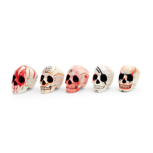 Calavera Decorativa de Halloween
, 1025480, Modelos de Cr&aacute;neos Humanos