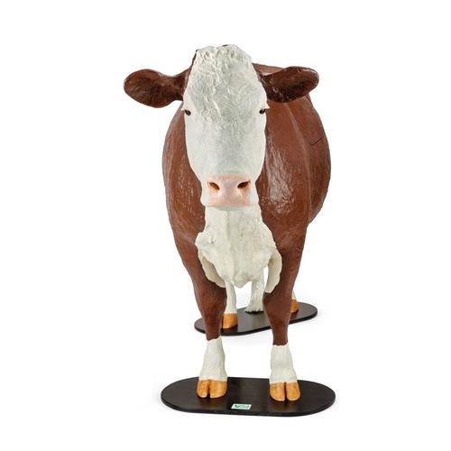 Hereford Model Dystocia Simulator Brown, 1025508, Bovine Simulators