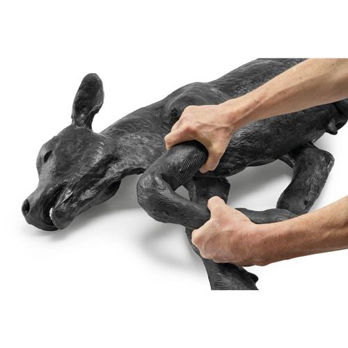 Black Angus Dystocia Calf Model, 1025511, Bovine Simulators